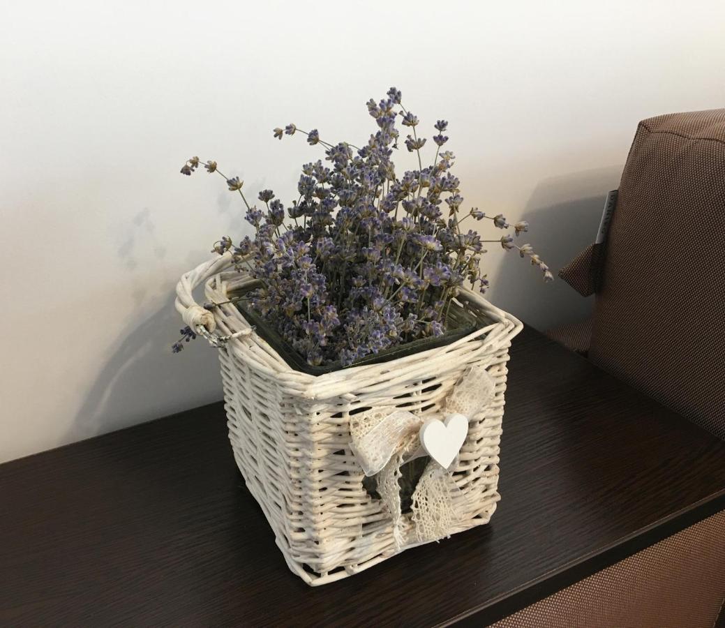 Elegantza Suites Braşov Buitenkant foto